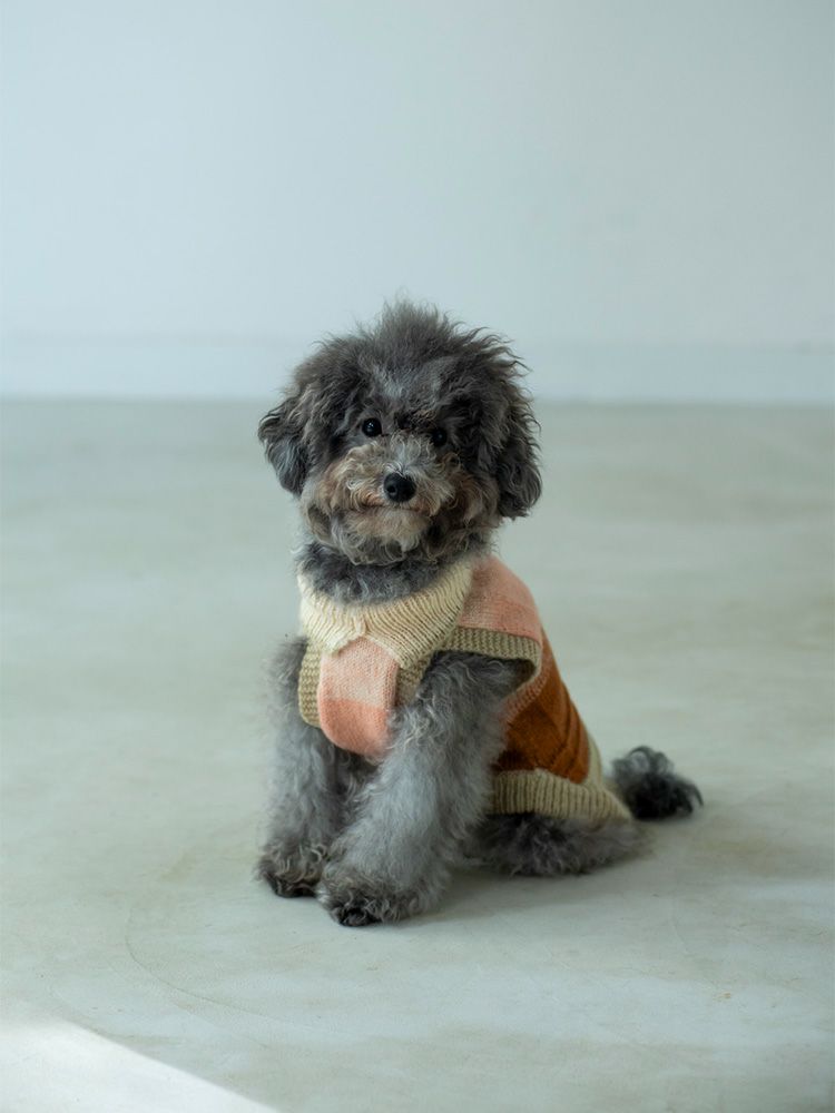 DOGグラデニットM | HUG O WaR ONLINE STORE