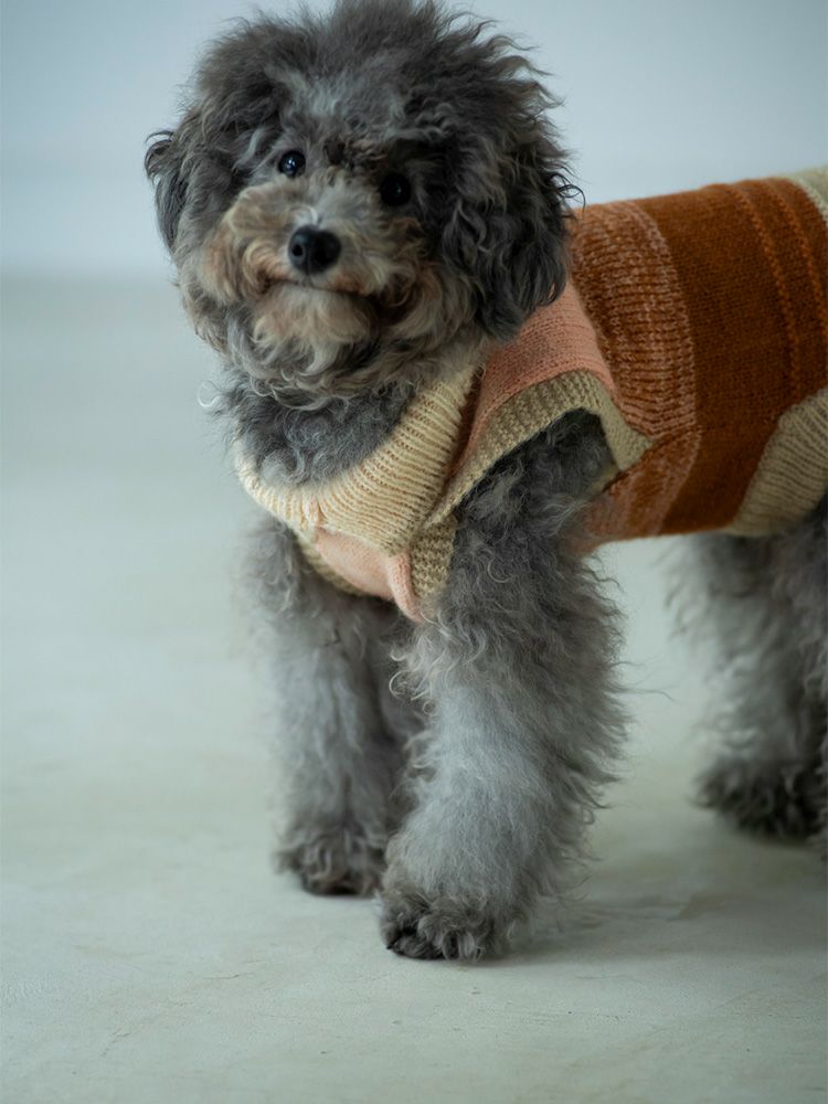 000000002211-04-m.jpg?t=