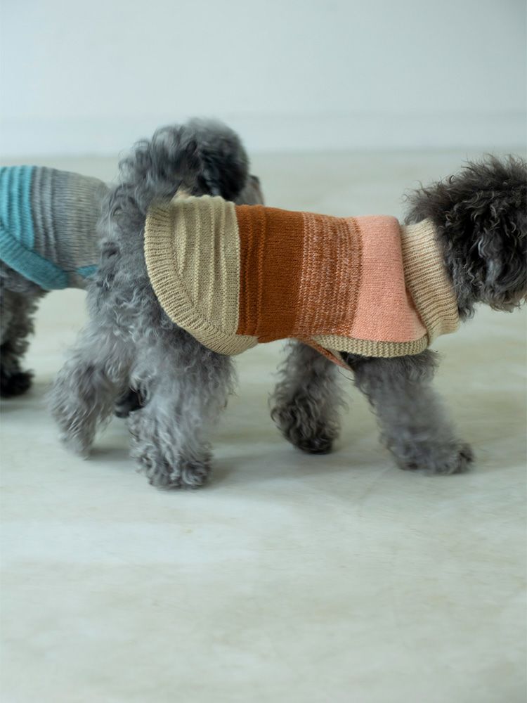 DOGグラデニットM | HUG O WaR ONLINE STORE